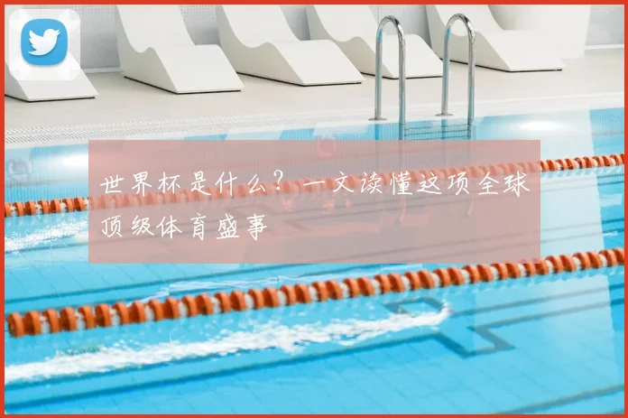 世界杯是什么？一文读懂这项全球顶级体育盛事
