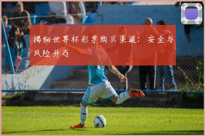 揭秘世界杯彩票购买渠道:安全与风险并存