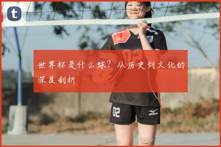 世界杯是什么球？从历史到文化的深度剖析