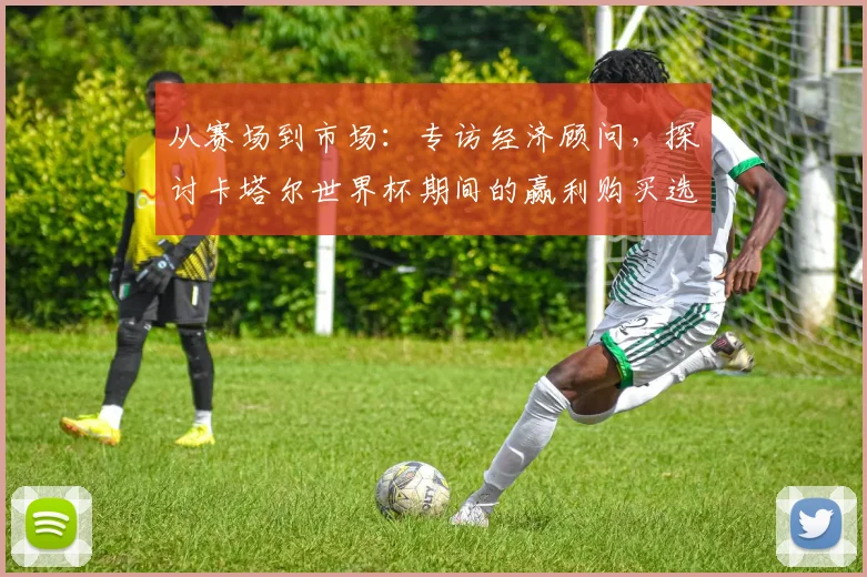 从赛场到市场：专访经济顾问，探讨卡塔尔世界杯期间的赢利购买选择