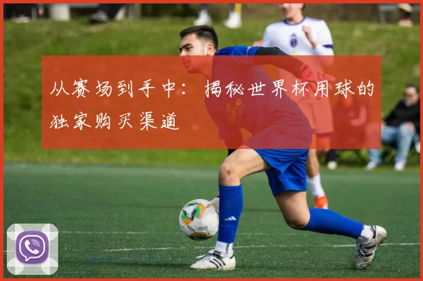 从赛场到手中：揭秘世界杯用球的独家购买渠道