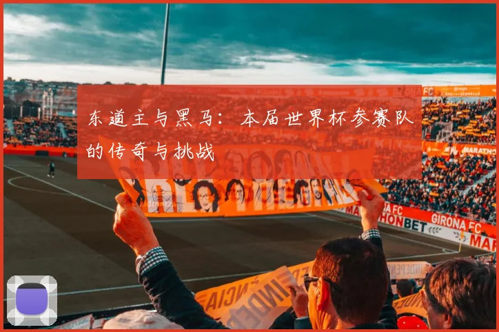 东道主与黑马:本届世界杯参赛队的传奇与挑战