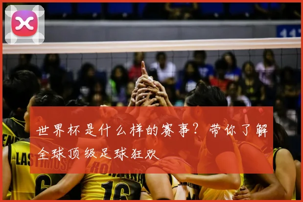 世界杯是什么样的赛事？带你了解全球顶级足球狂欢
