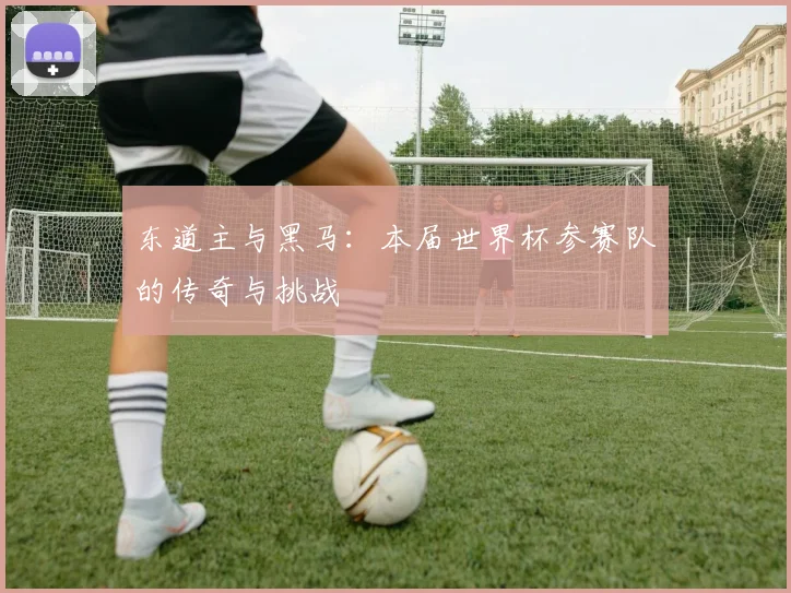 东道主与黑马：本届世界杯参赛队的传奇与挑战