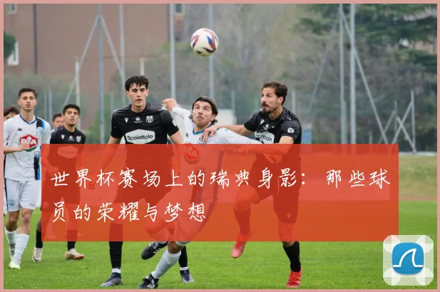 世界杯赛场上的瑞典身影：那些球员的荣耀与梦想