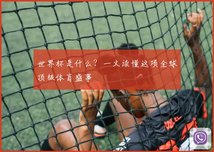 世界杯是什么？一文读懂这项全球顶级体育盛事
