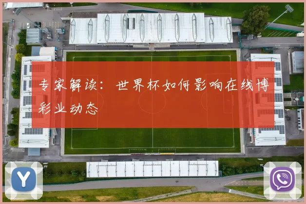 专家解读：世界杯如何影响在线博彩业动态