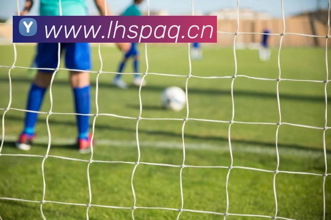 爱游戏ayx官网入口平台生态图